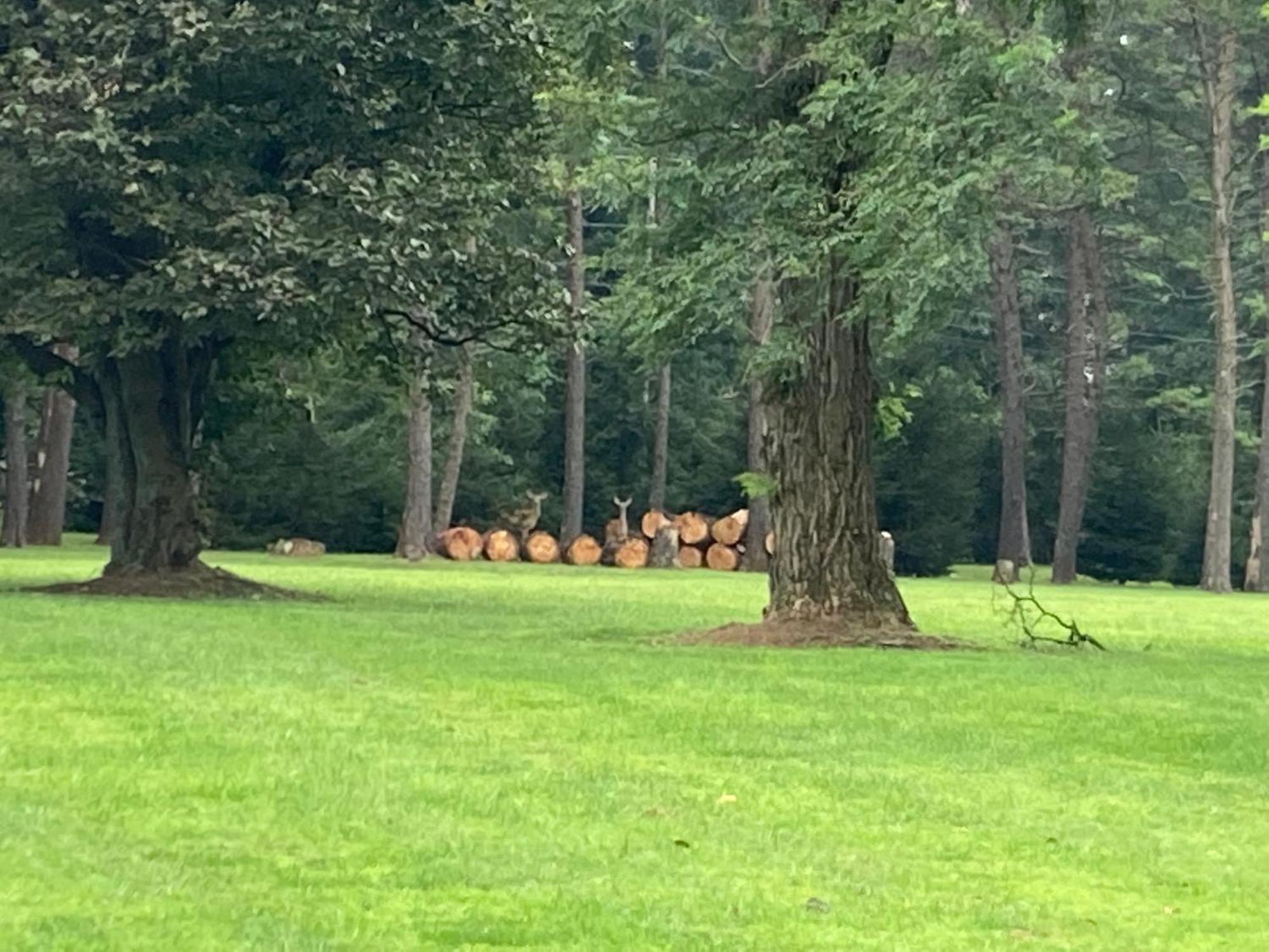 Purcellville High Meadows Estateヴィラ エクステリア 写真