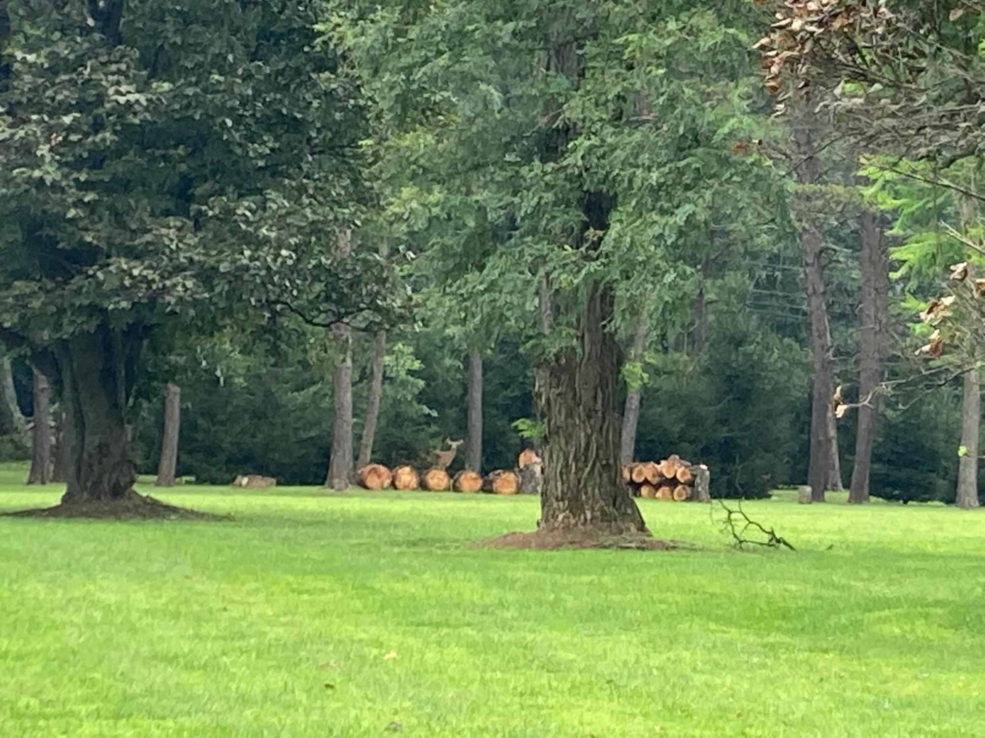 Purcellville High Meadows Estateヴィラ エクステリア 写真